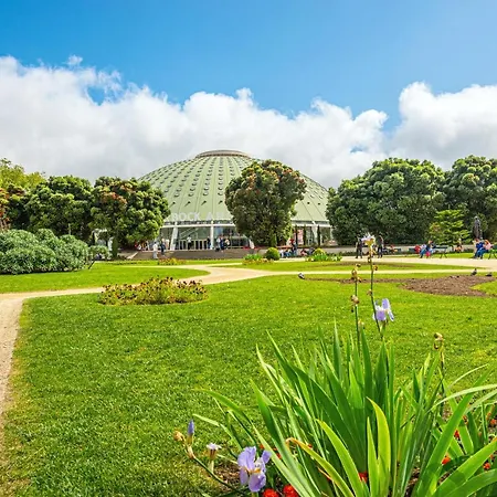 Bombarda Iii By Innkeeper Porto