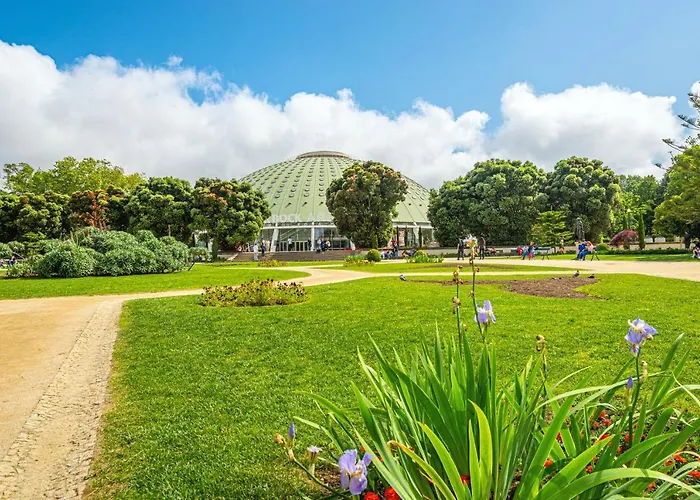 Bombarda Iii By Innkeeper Oporto